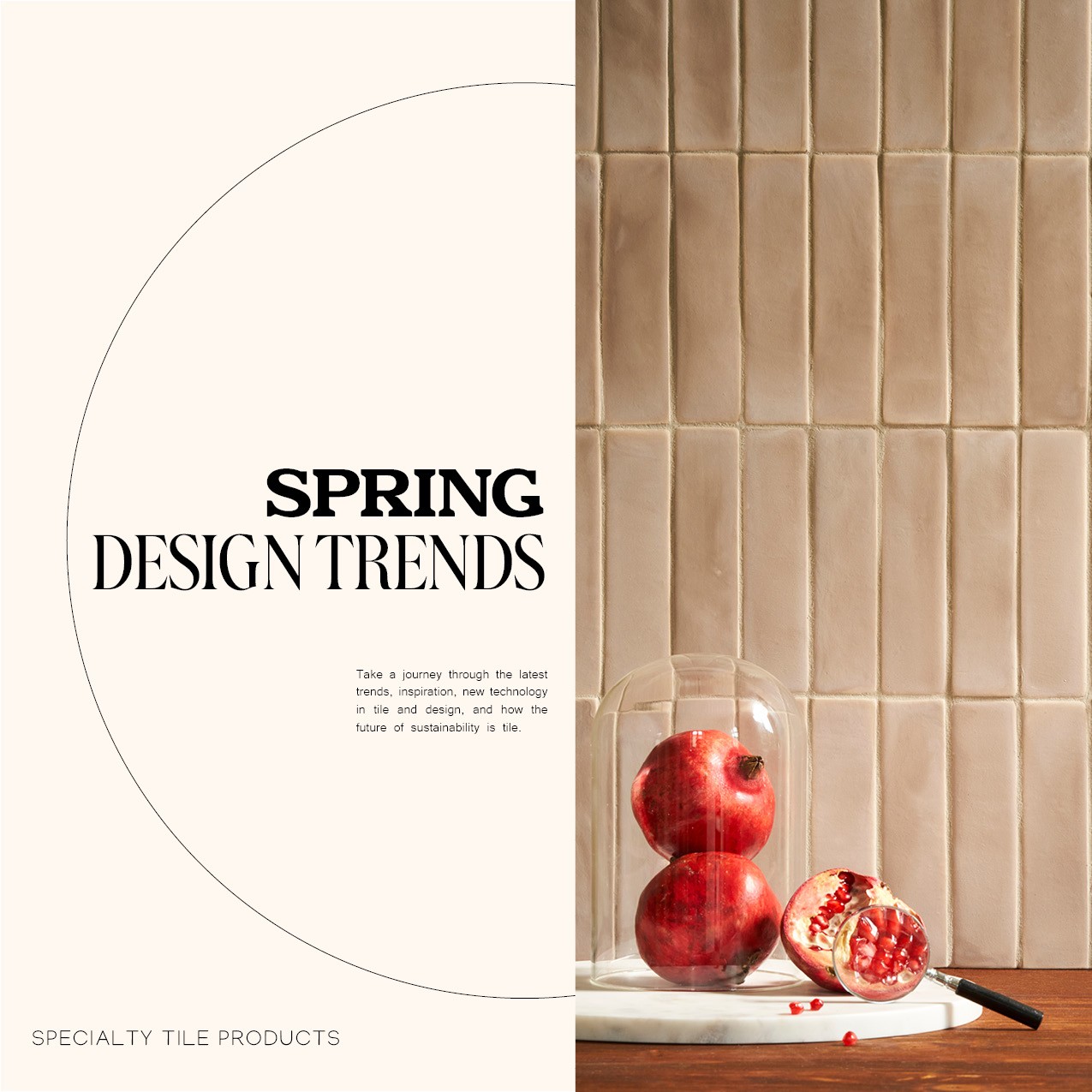 Design Trends 2024